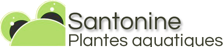 Logo Santonine